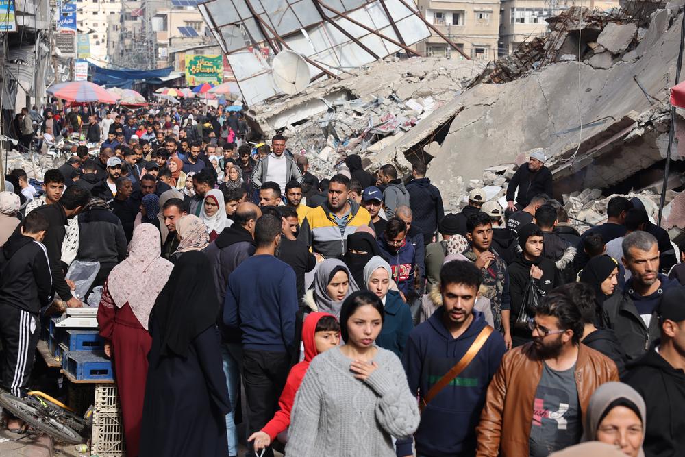 Sud de Gaza. Les rues de Rafah sont pleines de gens qui construisent des abris. 28 novembre, 2023 © MSF