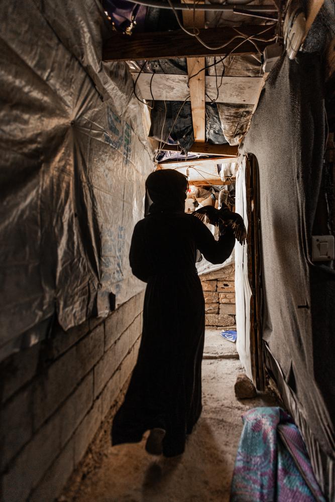 Maya, réfugiée syrienne dans le nord-est du Liban, tient une colombe qu'elle soigne dans la tente de sa famille à Arsal. Veuve et victime d'un mariage d'enfants, Maya a subi de graves traumatismes mentaux, notamment après la mort de ses filles dans un incendie. Mariam cherche aujourd'hui à se soigner et à soigner son entourage en prêchant des soins communautaires et en apportant un soutien en matière de santé mentale. Cependant, le récent sentiment anti-réfugiés dans la région a rendu les choses difficiles.