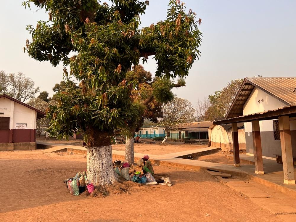 © Charlotte Sujobert/MSF -  Malnutrition in Bossangoa region