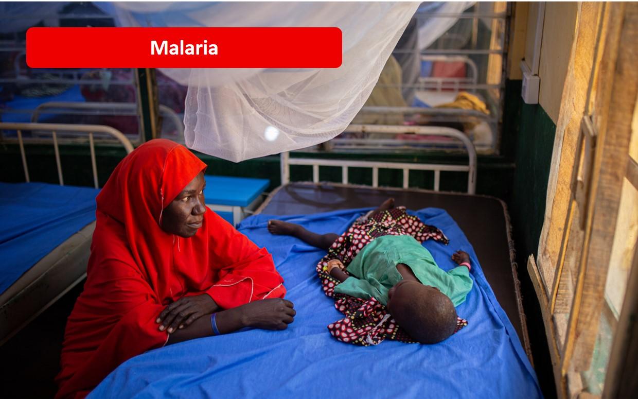 MSF response to malaria outbreak in Zamfara State, Nigeria