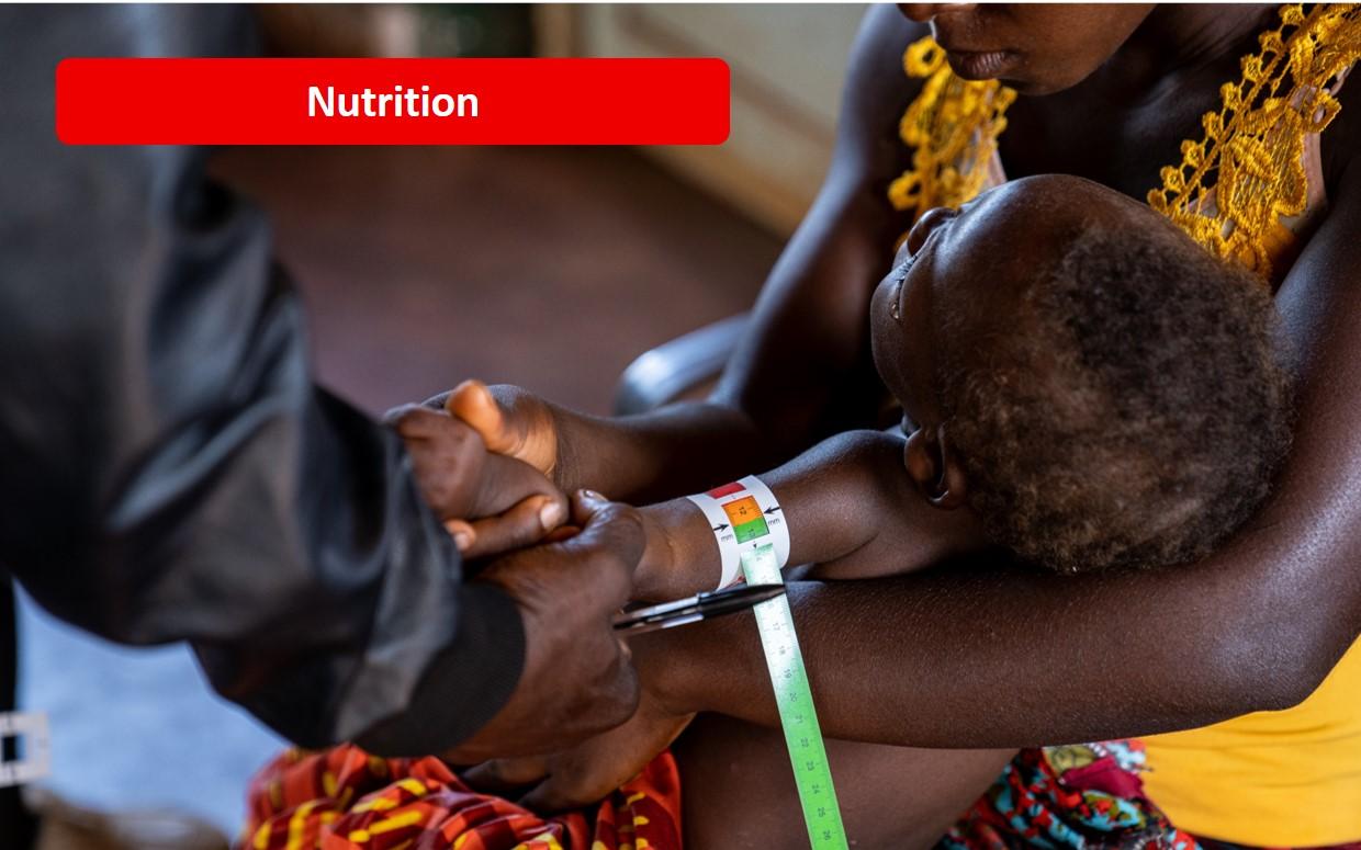 Helping tackle malnutrition and malaria in Angola