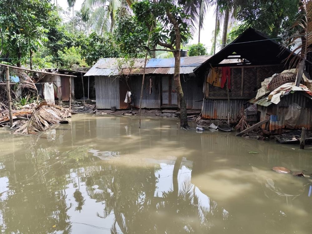 Les inondations soudaines à Noakhali ont endommagé les maisons, les cultures et les routes. La cour d'un village de Noakhali est submergée par les eaux de crue. (septembre 2024) ©Farah Tanjee/MSF