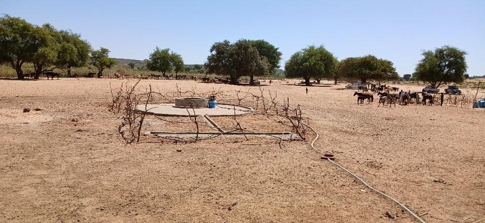 Le même puits après sa réhabilitation et la construction d’un abreuvoir pour les animaux. Novembre, 2024. Wadi Fira, Tchad. © Roland Couprie/ MSF