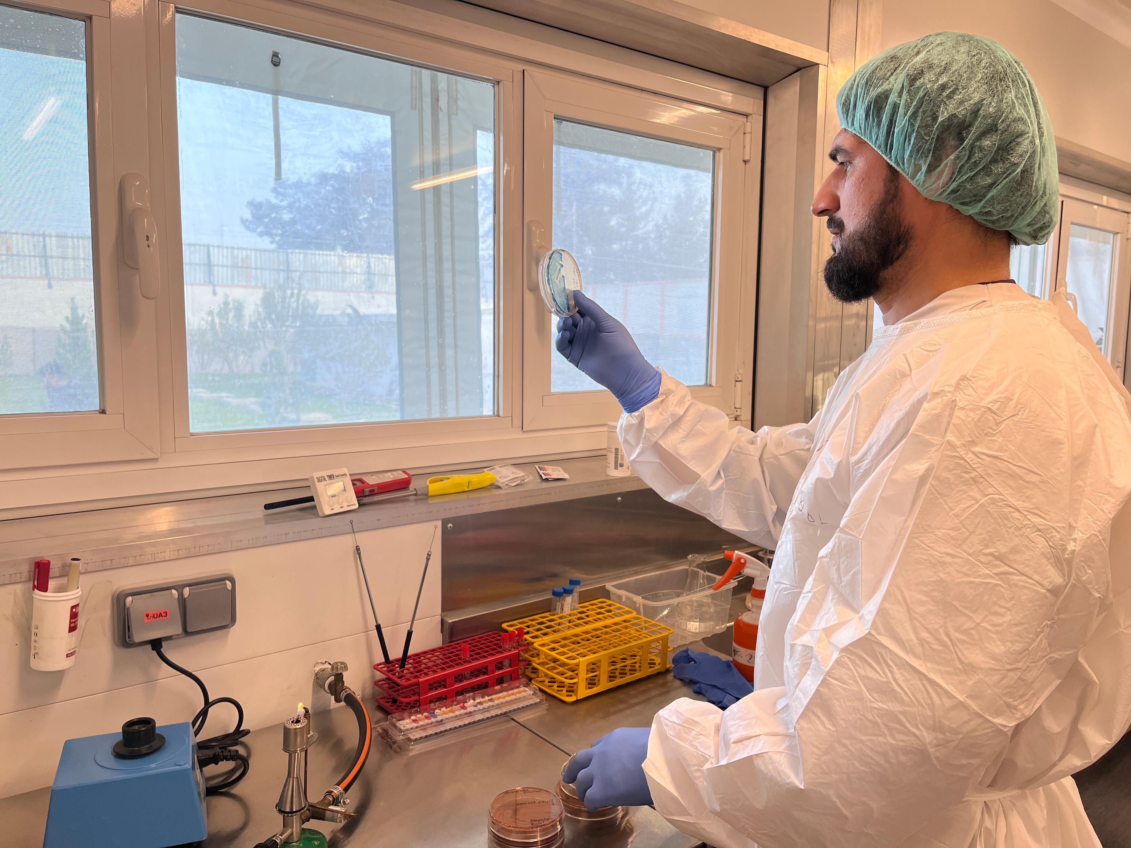 Said Masoom Miakhel, technicien de laboratoire de MSF, dans le laboratoire de microbiologie du centre de traumatologie de Kunduz. 
