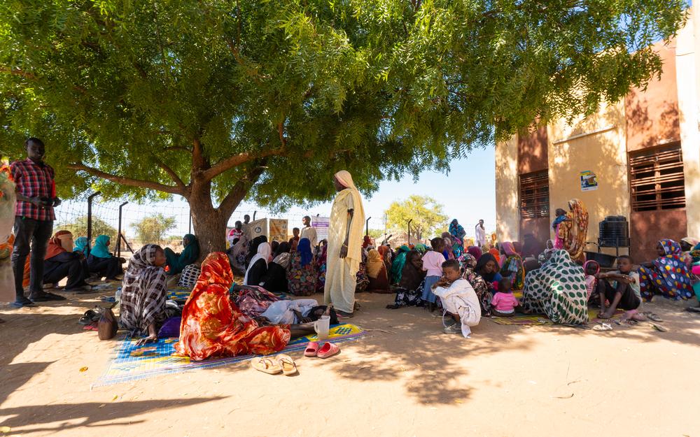 Une foule de rapatriés et de réfugiés fait la queue sous un arbre pour recevoir des soins de l'équipe de la clinique mobile MSF dans le campement informel de Jerbana.