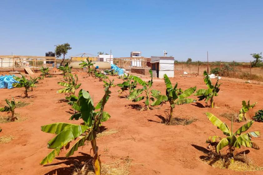 Vue de la « poop factory » du camp d'Aboutengue : Une solution durable pour la santé communautaire.