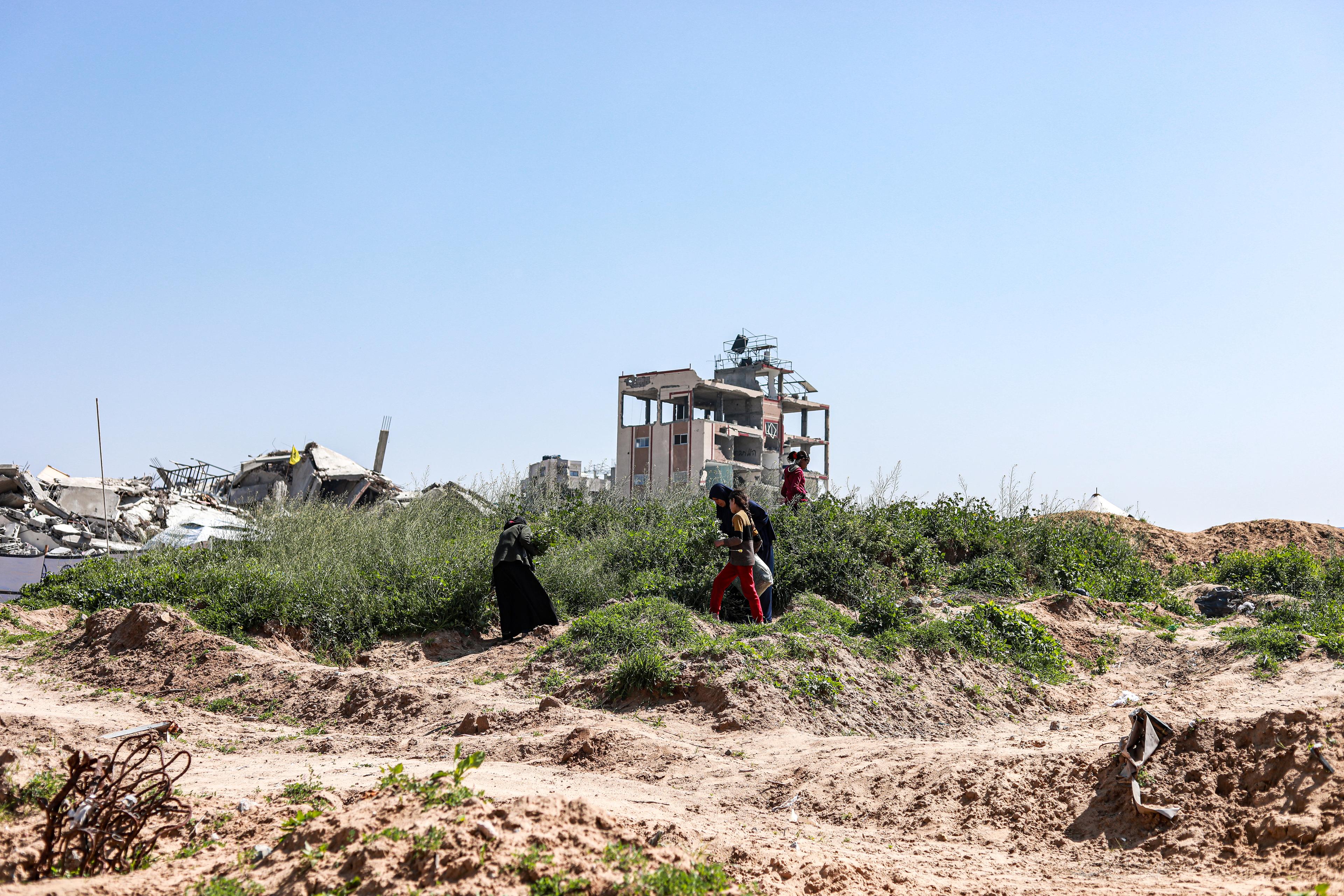 À Gaza, les pénuries organisées de nourriture, de médicaments et de carburant atteignent un niveau critique  