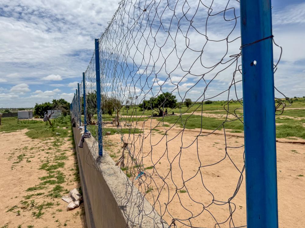 Camp de Tiné. Aout 2024. ©Hareth Mohammed/MSF