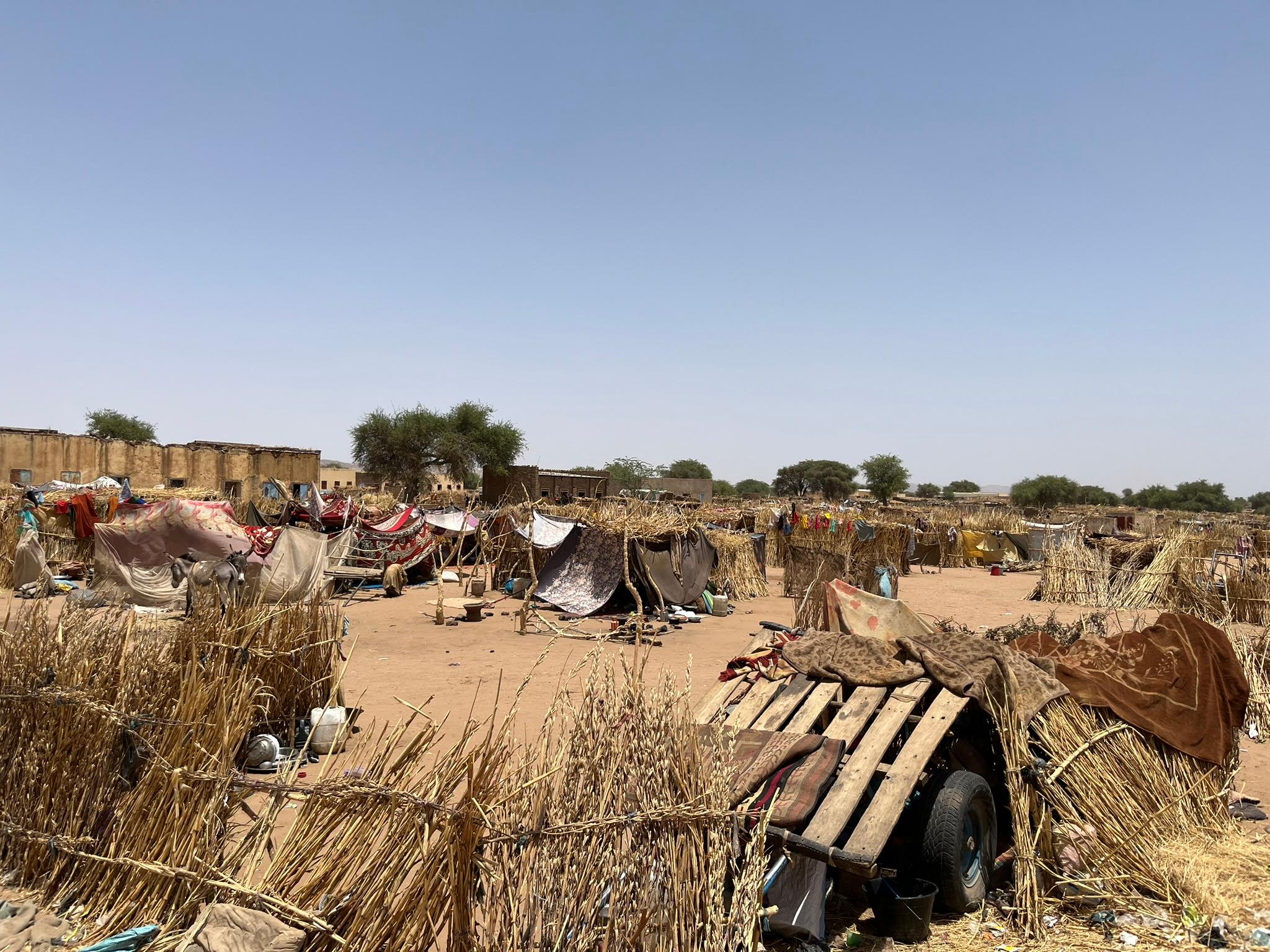 War fuels cholera outbreak across Sudan 
