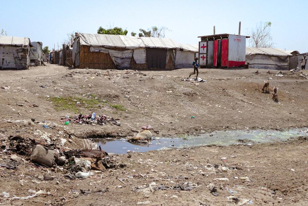 Une chèvre morte pourrit dans le système de drainage du camp de personnes déplacées de Bentiu. 