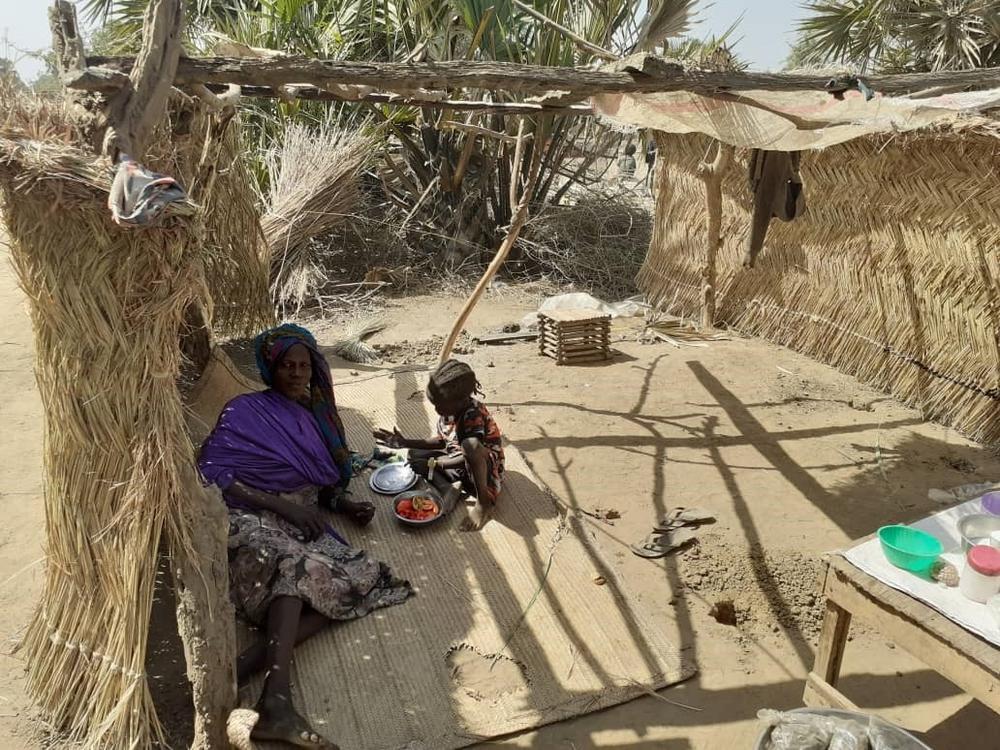 Djazira village, south of N'Djamena, Chad 