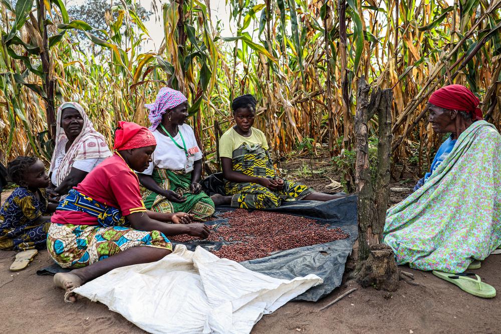 Atija counsels Amina, 17 years old and nine months pregnant, and the women in her family. 