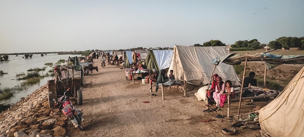 A view of flood-affected people taking shelter in tents at the flood protective bund in the village of Johi, District Dadu in Sindh province. 