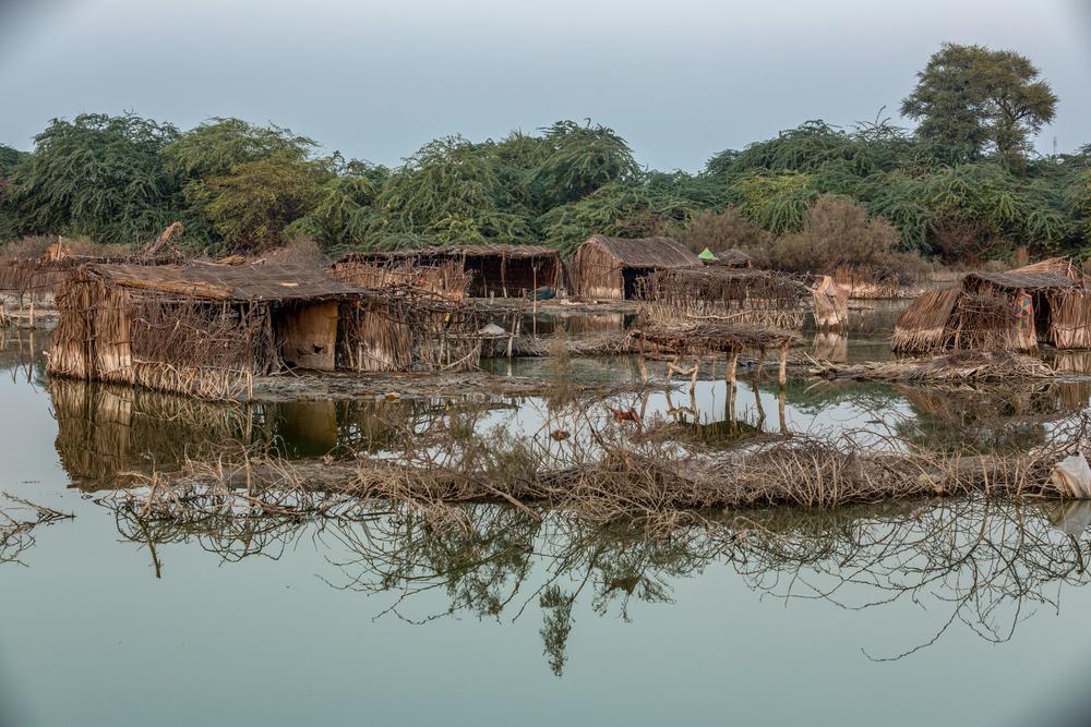 Une vue de huttes immergées dans l&#039;eau de pluie dans un village près de Khipro, Sanghar, province du Sindh, Pakistan.