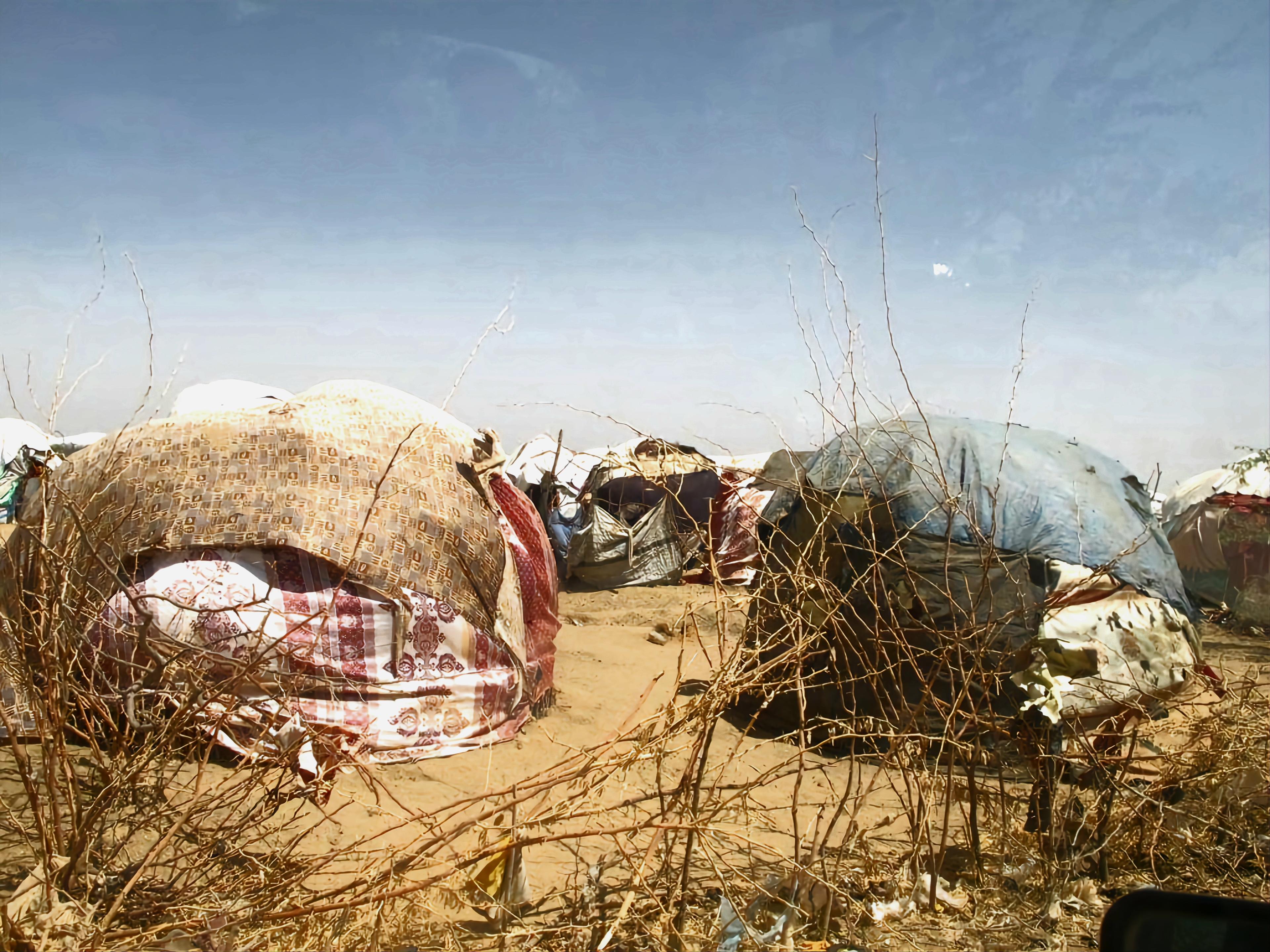 View of refugee shelters outside Dagahaley camp, Dadaab, Kenya 