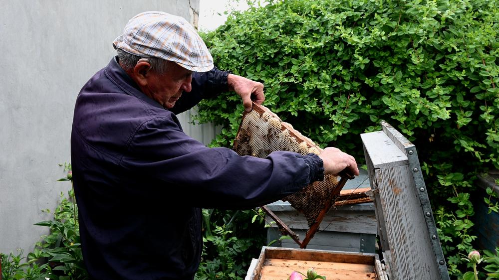 Anatoliy Andrievskyi, 74 ans, qui a vécu toute sa vie à Myrolyubivka, participe au soin des abeilles dans le cadre de séances psychologiques, ce qui aide les habitants de la région à lutter contre l’anxiété et les effets du stress. 