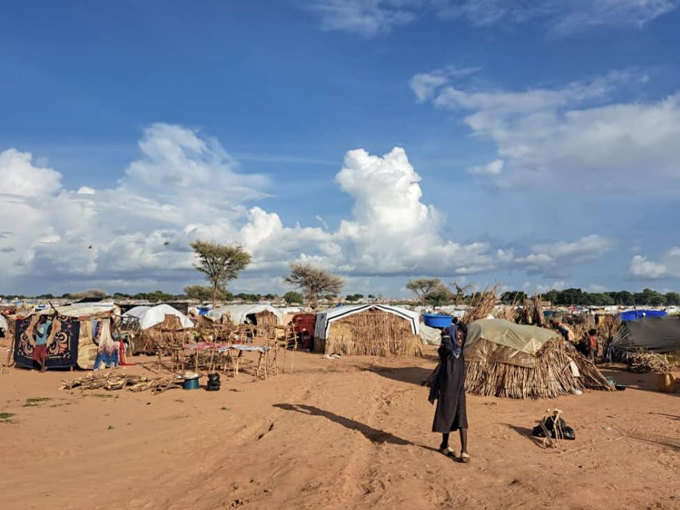 Temporary structures are being set up in Camp Ecole, which is home to 150,000 refugees, before they are rehoused in permanent camps. 