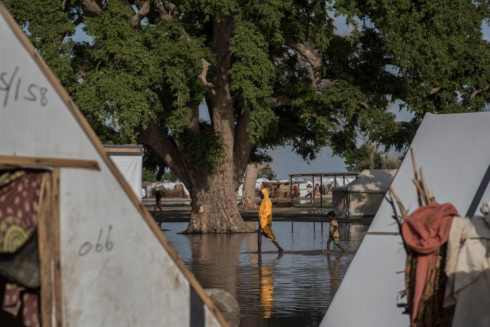 Shelters under water during the rainy season in Rann, Nigeria. 