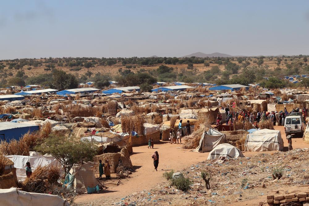 « Un demi-million de réfugiés soudanais dans l'est du Tchad dépendent de l'aide humanitaire »