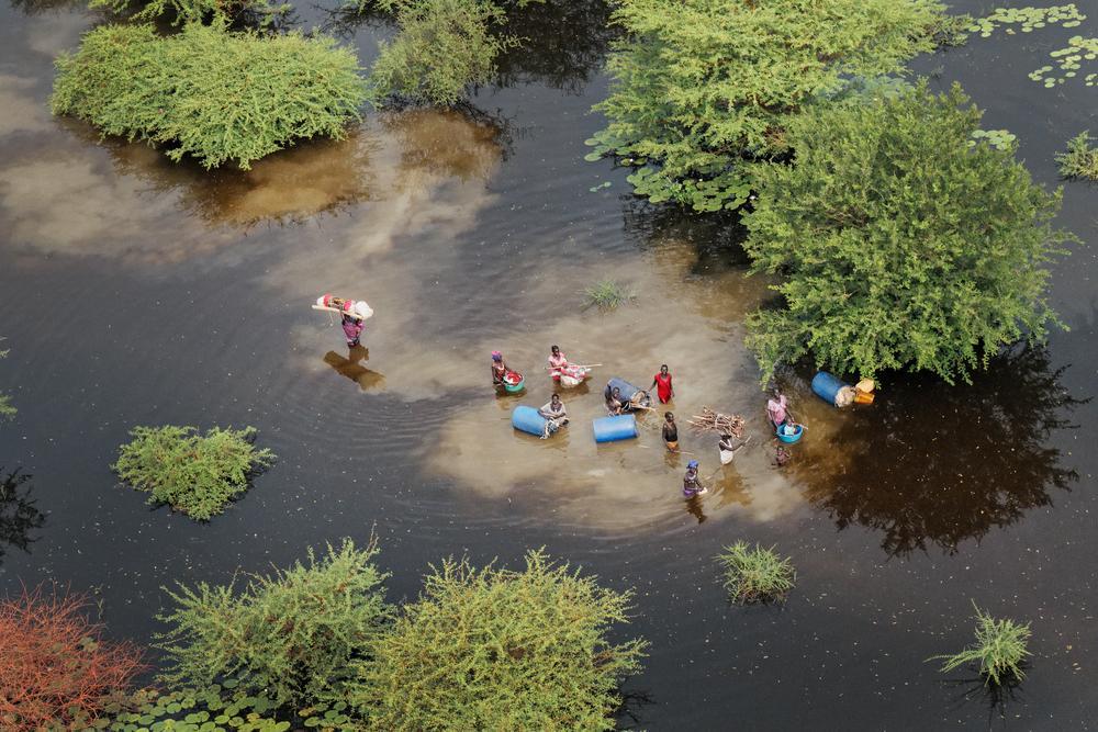 Des familles se dirigent vers la terre ferme à Bentiu. 835 000 personnes ont été directement touchées par les inondations.  Dans tout l'État d'Unity, les habitations et les moyens de subsistance des habitants (cultures et bétail), ainsi que les établissements de santé, les écoles et les marchés, sont complètement submergés par les eaux de crue.