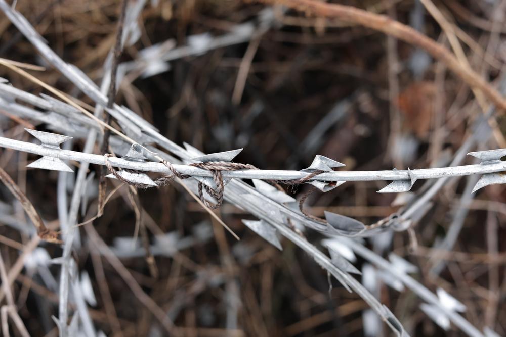 Des fragments brisés de fil de lame emmêlés à de la ficelle.  Frontière militarisée entre la Pologne et la Biélorussie, parc naturel de Kozie Borki. 25/01/2024 © Jakub Jasiukiewicz/MSF