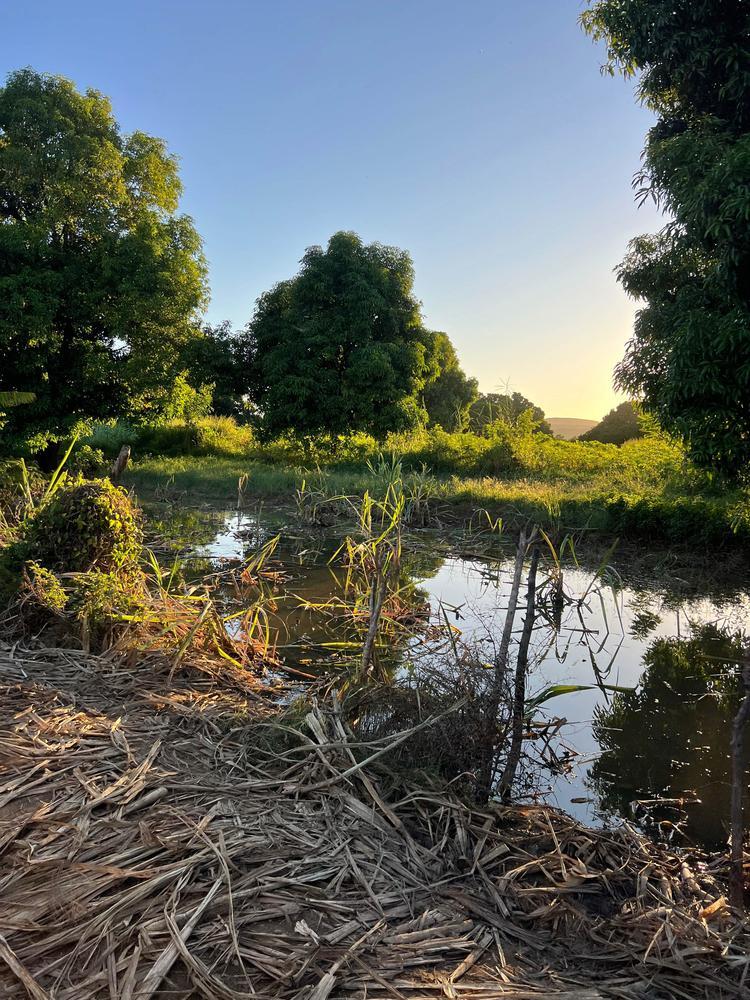 Les terres sont toujours inondées après le passage du cyclone Honde.