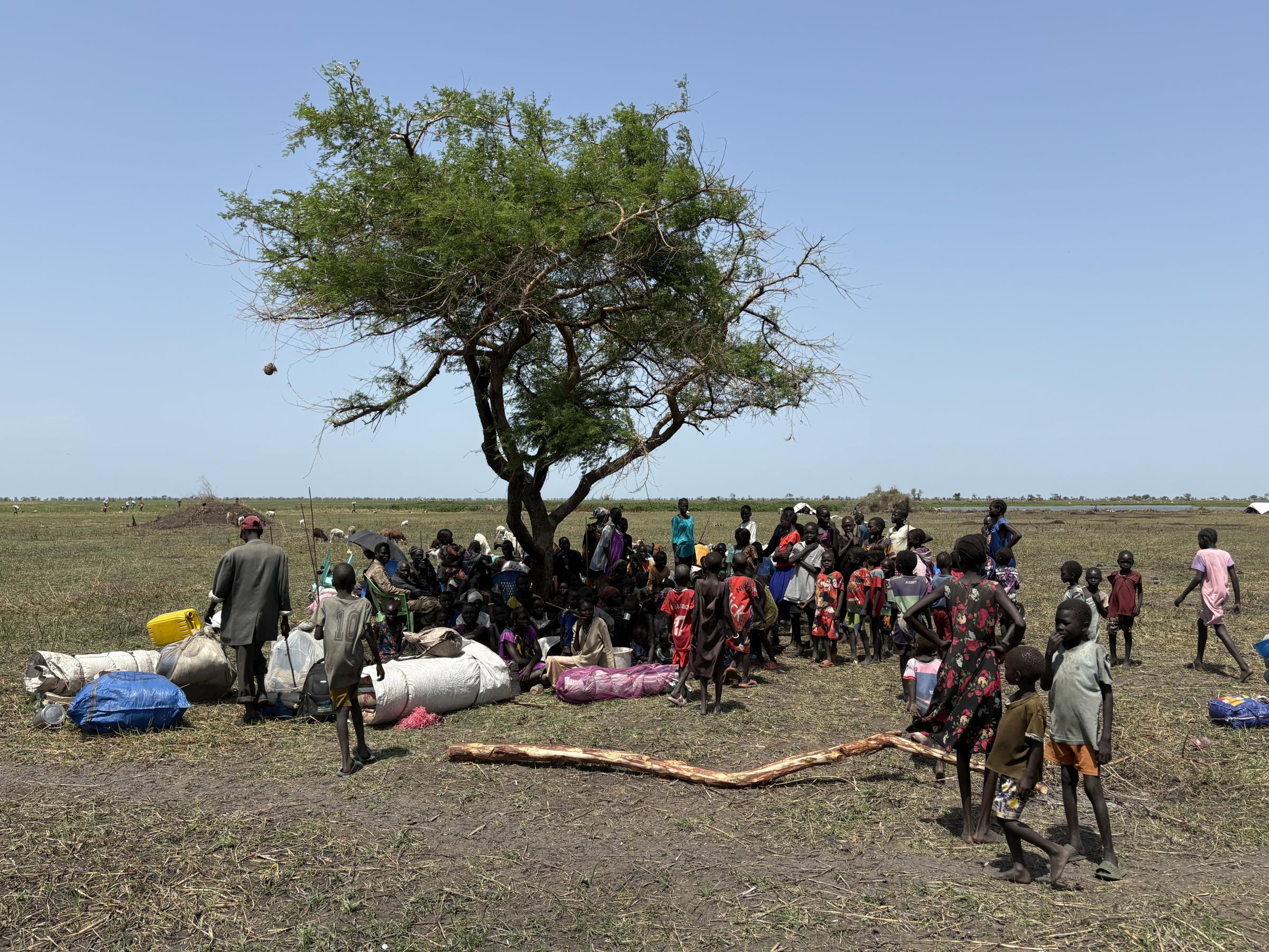 Des réfugiés sud-soudanais ont fui vers la région éthiopienne de Gambella en raison du conflit.
