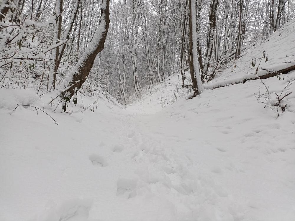 Les refoulements répétés aux frontières, dans des températures glaciales, mettent en danger les personnes migrantes