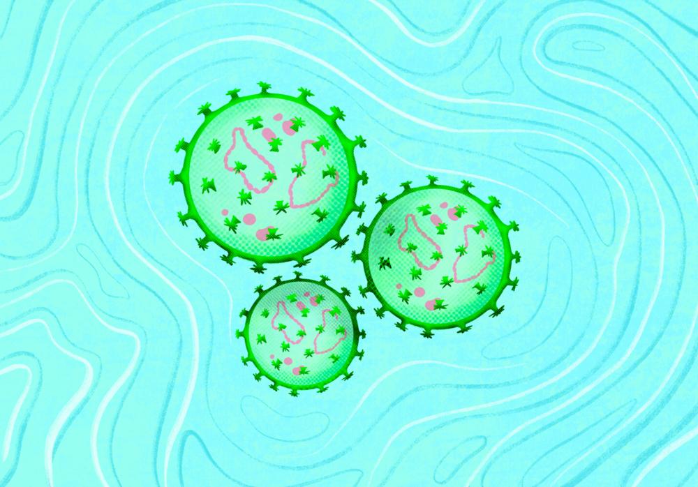 Illustration du virus de la fièvre de Lassa © Dora Naliesna/MSF
