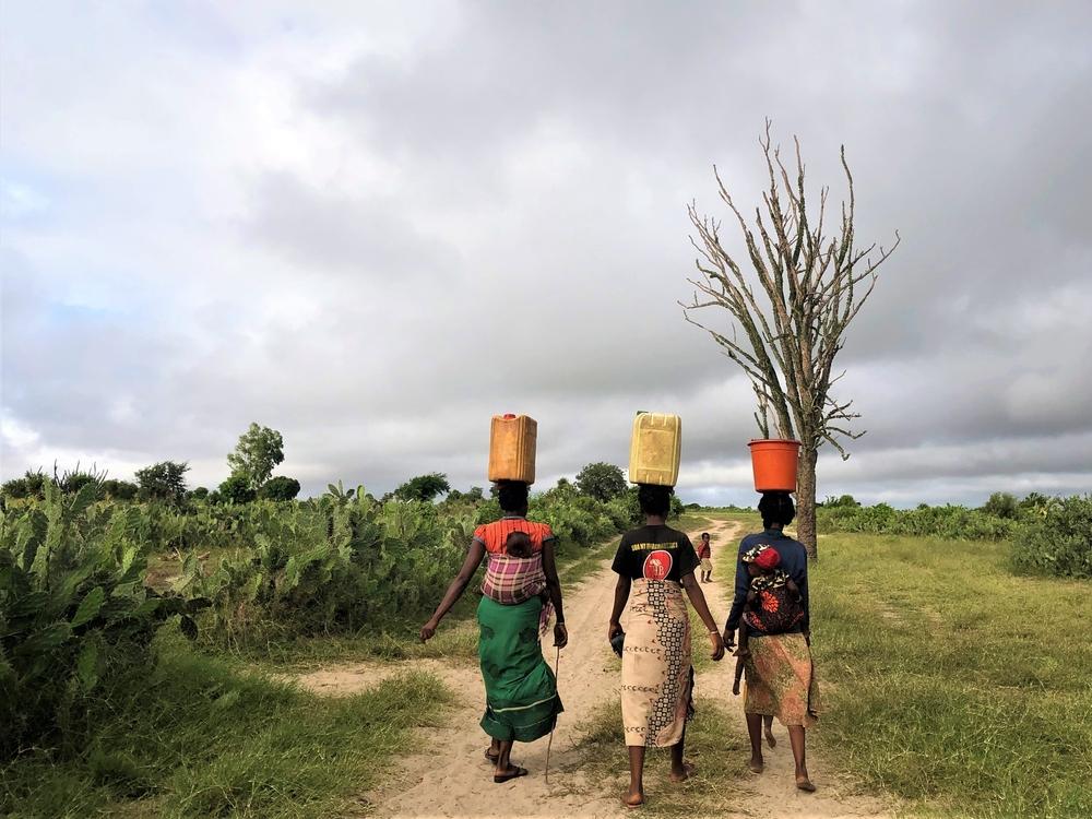 Trois femmes retournent dans leur village après avoir collecté de l&#039;eau lors d&#039;une distribution organisée par les équipes MSF dans le village de Fenoiva. 