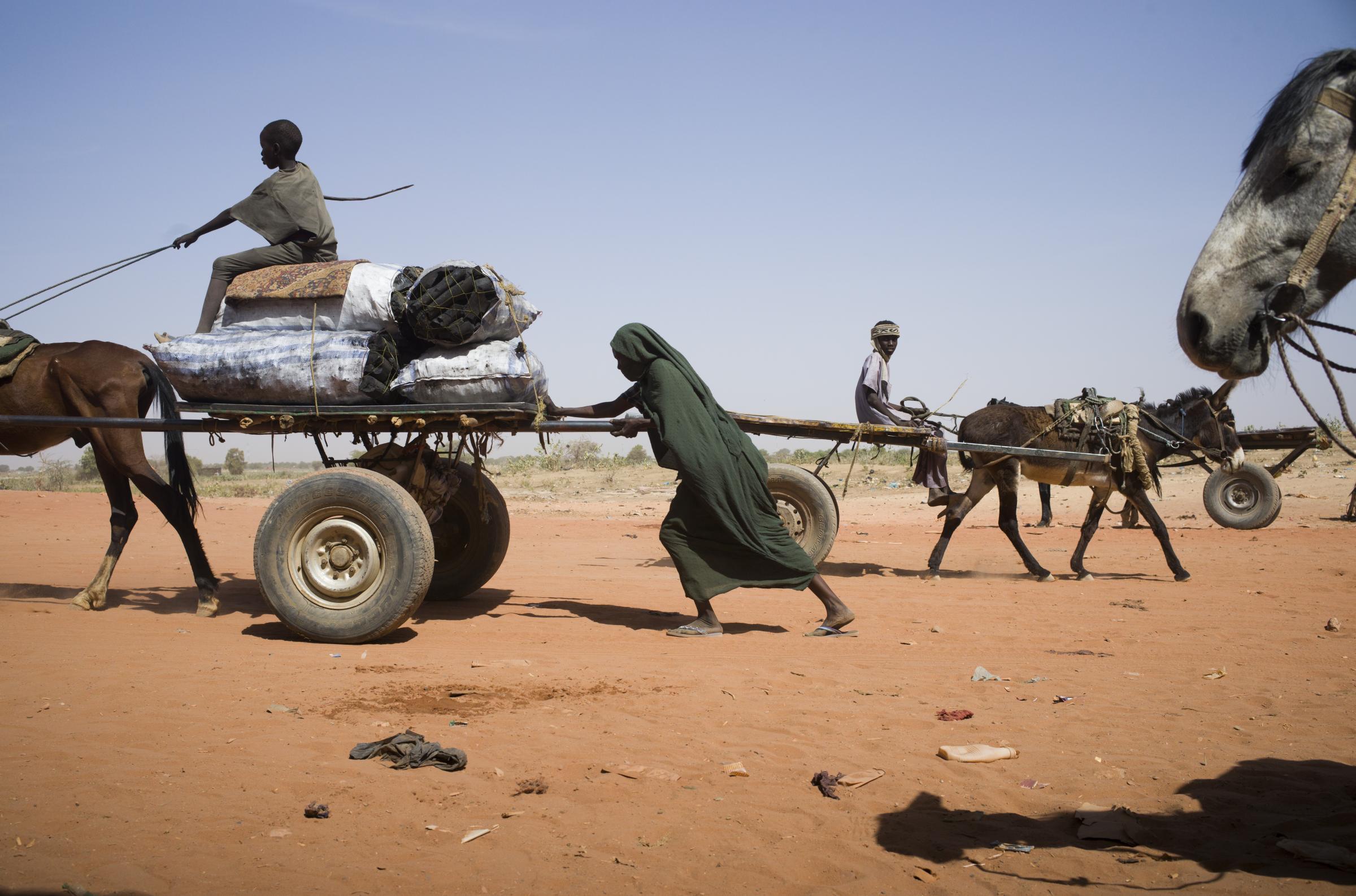 Des rescapés de la guerre au Soudan dans les camps de réfugiés au Tchad