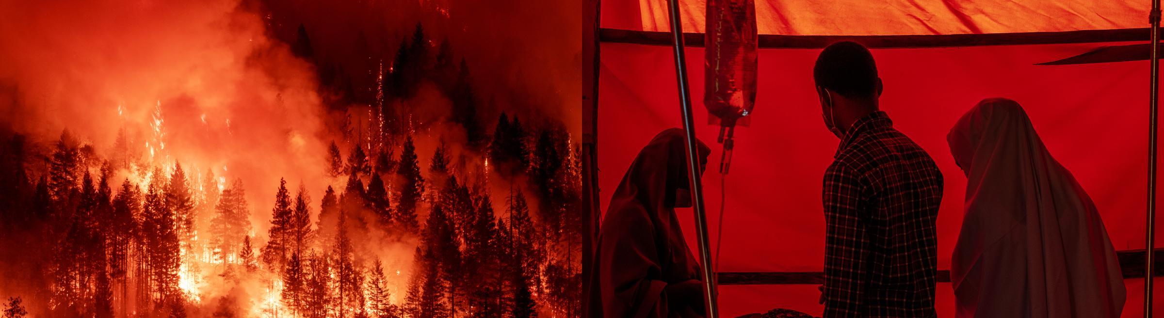 Soutenez Greenpeace, soutenez MSF