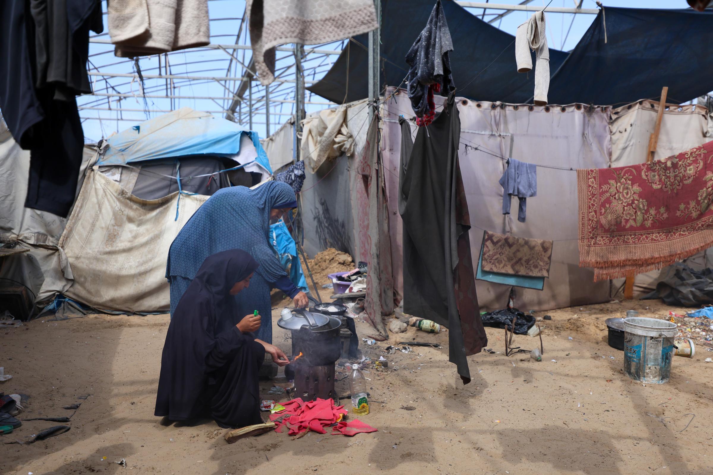 70% of MSF consultations in Gaza are related to catastrophic living conditions