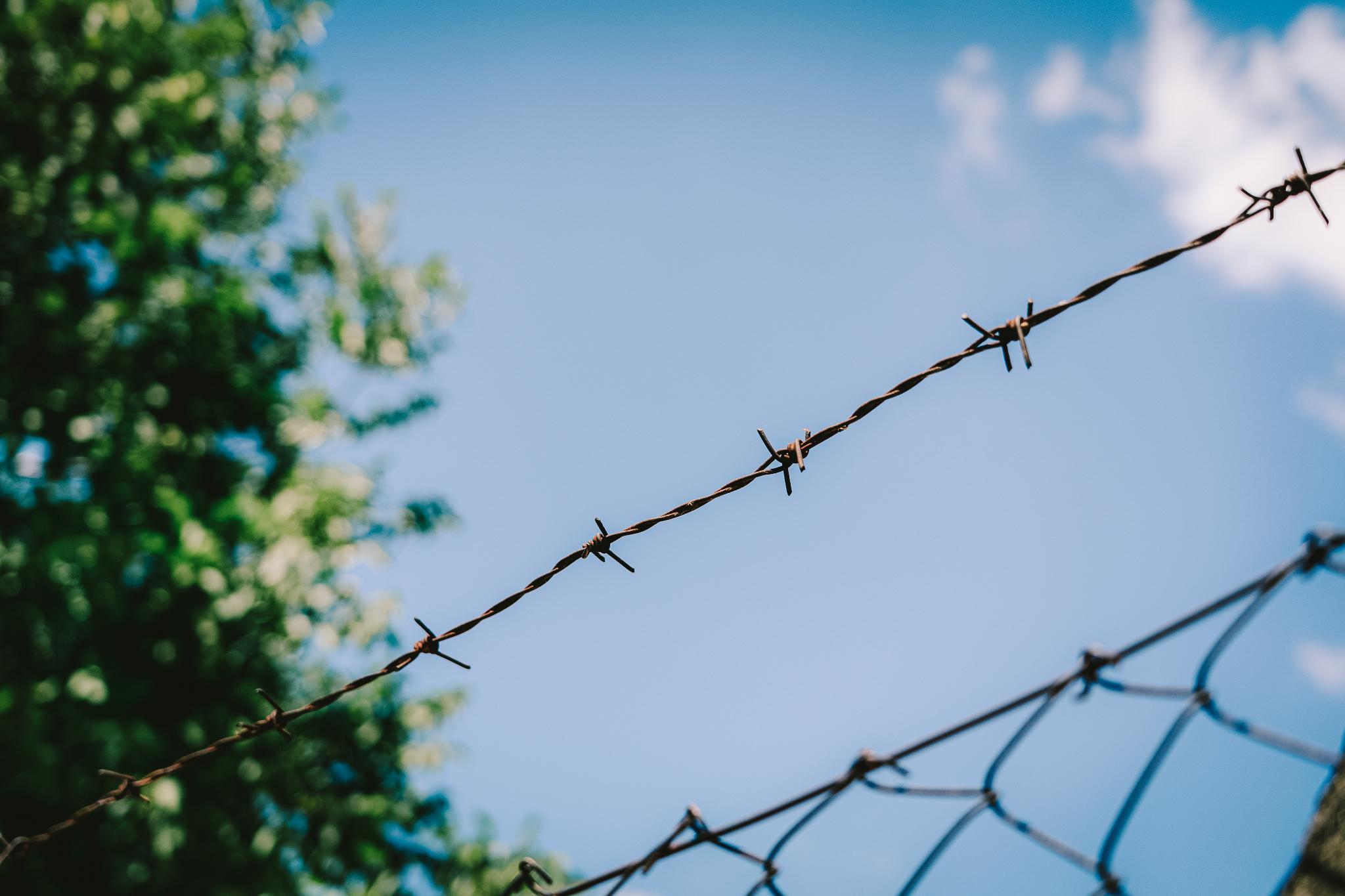 Gros plan sur une clôture de barbelés dans un bidonville à la frontière serbo-hongroise, à Horgos.