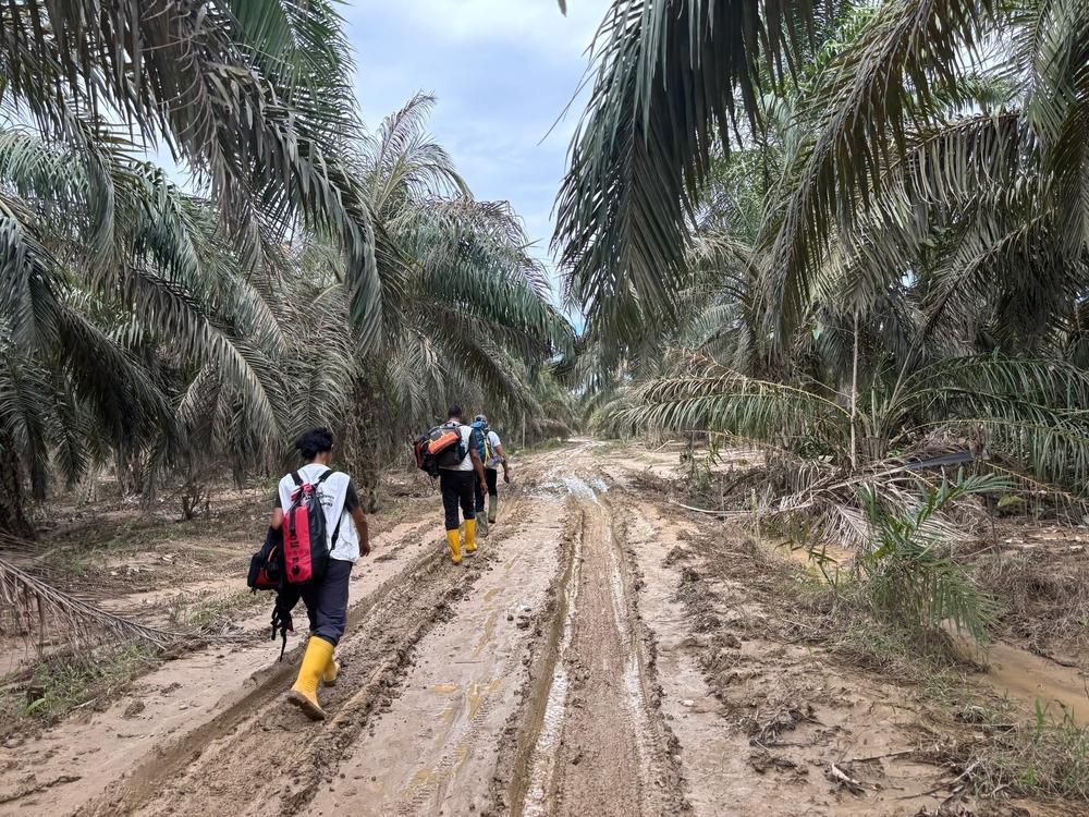 L'équipe s'est déplacée à pied dans des zones difficiles d'accès lors d'une évaluation dans le district d'Aceh Tamiang, Indonésie