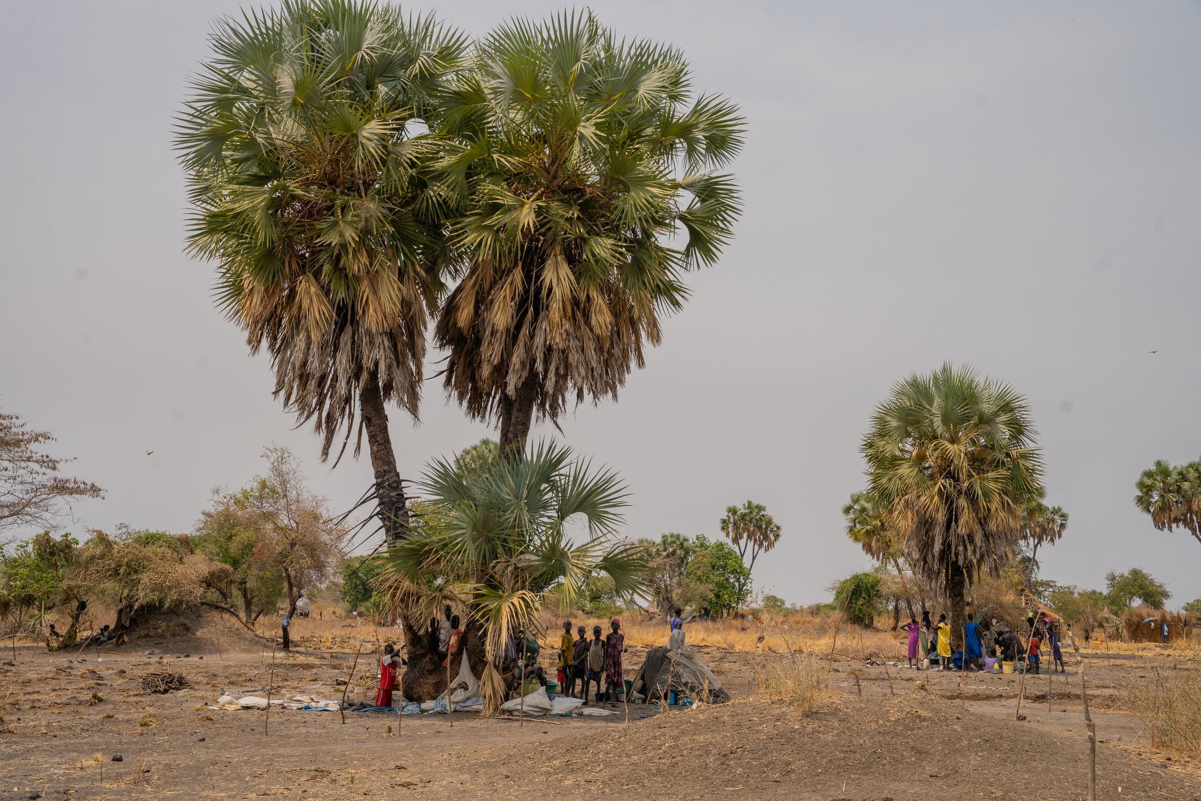 In South Sudan, MSF is scaling up its aid for people displaced by the conflict in Jonglei and Upper Nile.