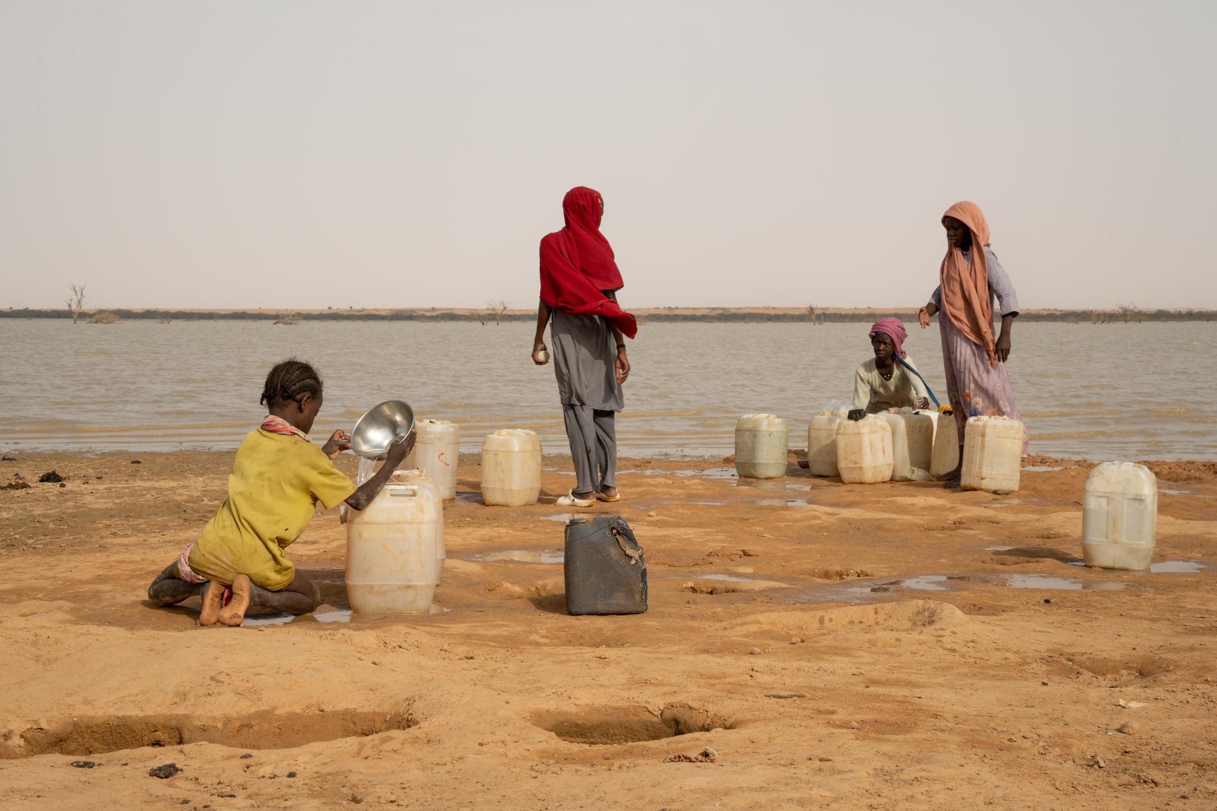 Des enfants remplissent des bidons d'eau puisée dans le lac Karyari, près du camp de réfugiés d'Ouré-Cassoni, Tchad