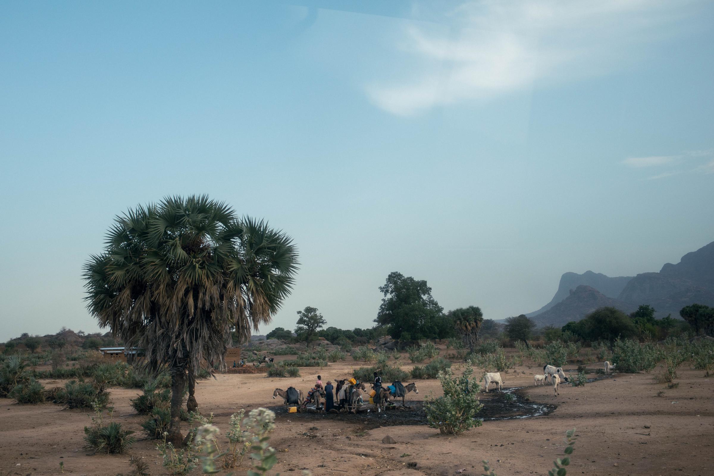 Route pour Am Timan, au Tchad